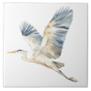 Search for heron tiles Nature