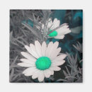 Search for green white magnets Aqua