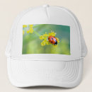 Search for lady top hats Nature
