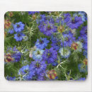 Search for cornflower standard mousepads Botanical