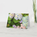 Search for hydrangea cards Pink