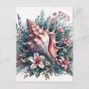Search for shellfish postcards Nature