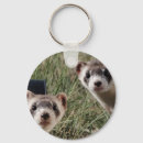 Recherche de ferret porteclés Cute