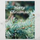 Search for christmas tree flyers Winter
