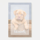 Search for photo post it notes Chic