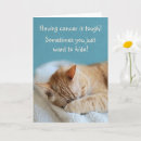Search for kitty cards Encouragement