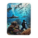 Search for cocos magnets Souvenir