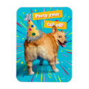 Search for funny animals magnets Puppy