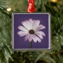 Recherche de flowers ornements Garden