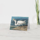 Search for audubon cards John james audubon