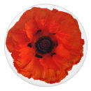 Recherche de fleur orange boutons et poignées de porte Jardin