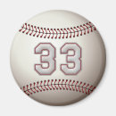 Search for battered magnets Hitter