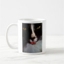 Recherche de simmons mugs Chat
