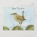 Search for wrens postcards Watercolor