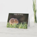 Search for water babies cards Baby