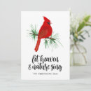 Search for heaven and nature sing christmas cards Cardinal