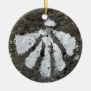 Search for shells ornaments Scallop shell