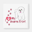 Search for bichons magnets Puppies