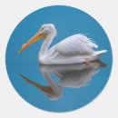 Search for wild birds stickers White