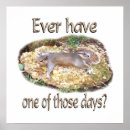 Search for squirrel posters Humourous