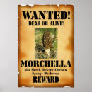 Recherche de comestible posters Mycologie