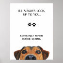 Recherche de amant animal posters Dogs