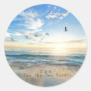 Recherche de oiseaux de mer autocollants Plage