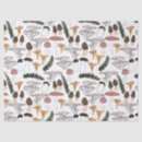 Search for fern tissue paper Trendy