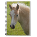 Recherche de race de cheval Pour enfants