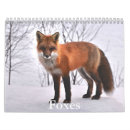Search for tails office supplies Fox