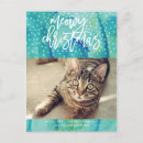 Recherche de vacances chat cartes postales Bonnes fêtes