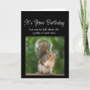 Search for feeders cards Squirrel