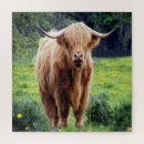 Search for bison puzzles Nature