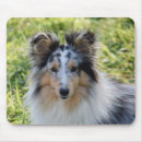 Recherche de shetland tapis souris Collie