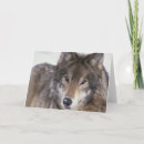 Search for wolves photo cards Photography