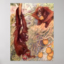 Search for orangutan posters Monkeys