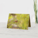 Search for love dragonflies postcards Nature