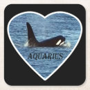 Search for killer coasters Orca