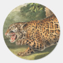 Recherche de dessin léopard autocollants Faune