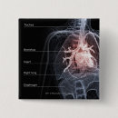 Search for human heart buttons Part