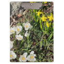 Recherche de jonquilles porte blocs Blanc