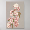 Search for photographic posters Botanical