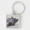 Search for cat looking keychains Nature