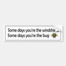 Search for windshield Bug