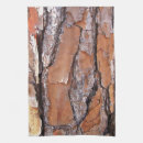 Search for pine bark Nature