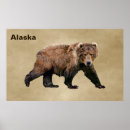 Recherche de kodiak posters Ours brun