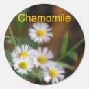 Recherche de camomille autocollants Fleurs