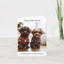 Search for portuguese christmas cards Portuguese water dog