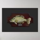 Search for freshwater fishing posters Bass