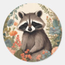 Recherche de racoon autocollants Rustique
